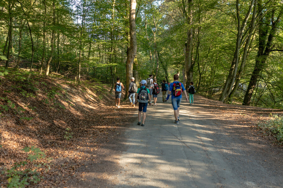 2016_09_12_Wandertag_Neroberg__J2A9740.jpg