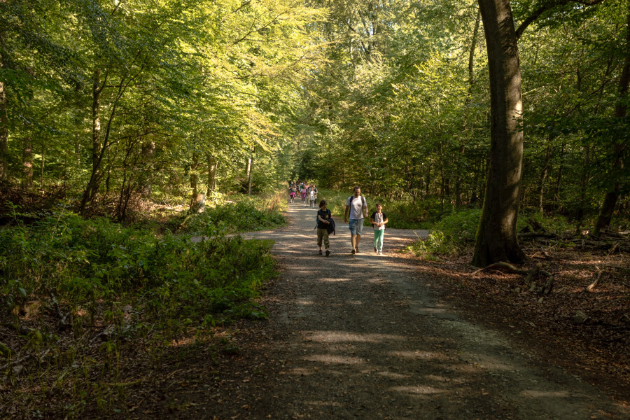 2016_09_12_Wandertag_Neroberg__J2A9790.jpg
