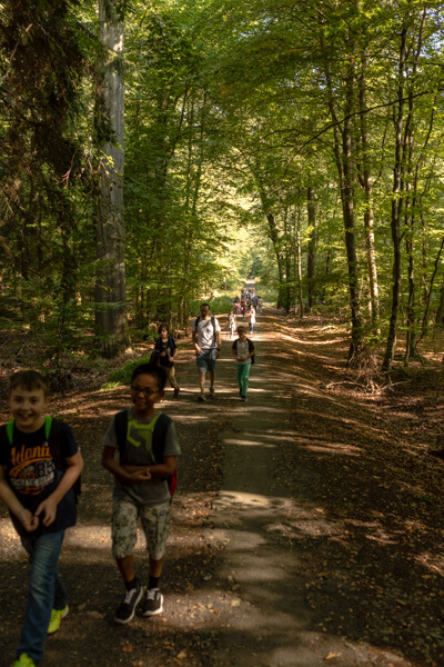 2016_09_12_Wandertag_Neroberg__J2A9791.jpg