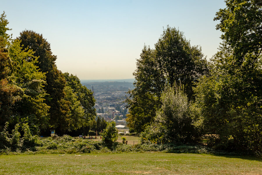 2016_09_12_Wandertag_Neroberg__J2A9798.jpg