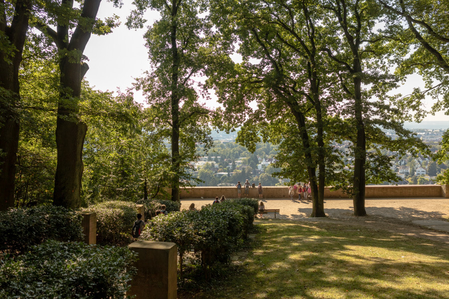 2016_09_12_Wandertag_Neroberg__J2A9800.jpg