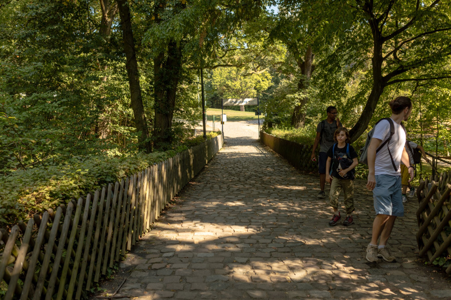2016_09_12_Wandertag_Neroberg__J2A9825.jpg